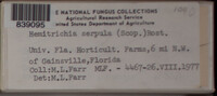 Image Associated With the Occurence